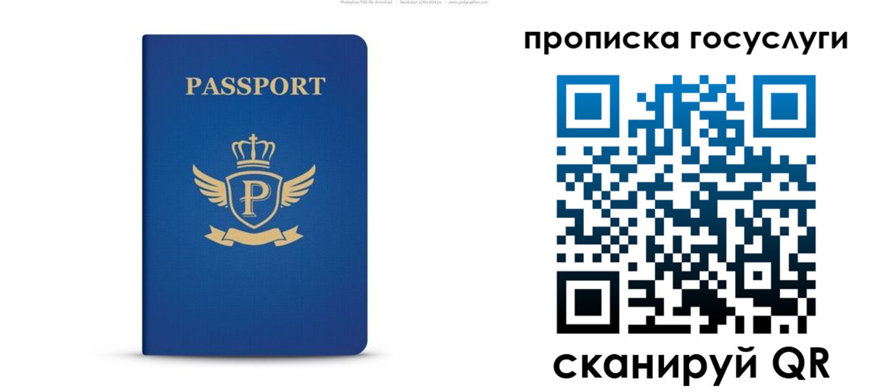 прописка для школы в Элисте
